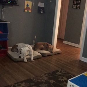 Meet your Posher, Alana